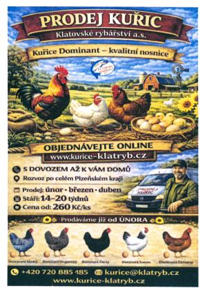 prodej kuřic